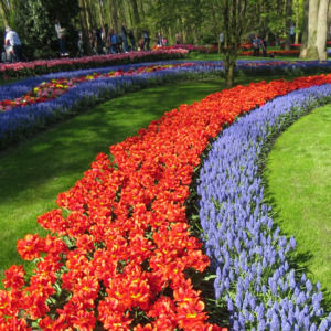 Meet your Posher, Kathleen